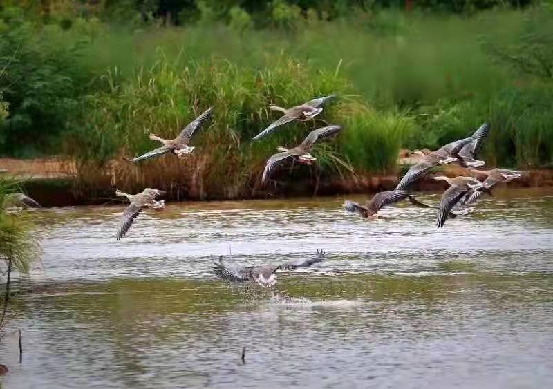 Hengyang Yanyuan HomestayOver view