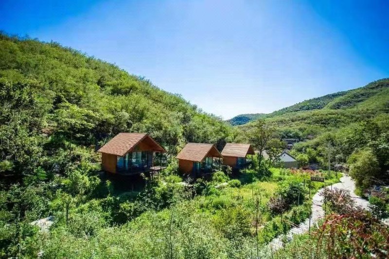 Lingquan Miaojing High end HostelGuest Room