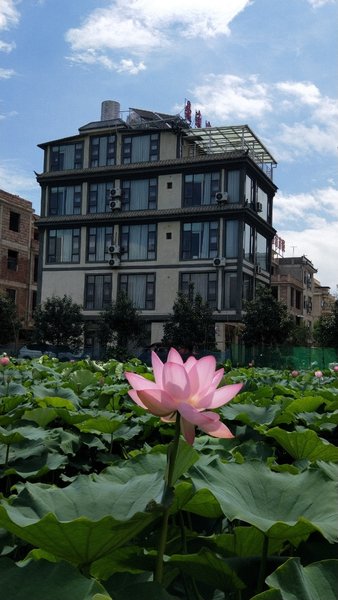 DINGYI hotel Over view