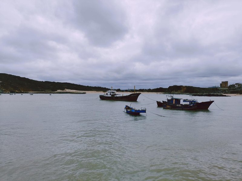 Cicily Homestay Over view