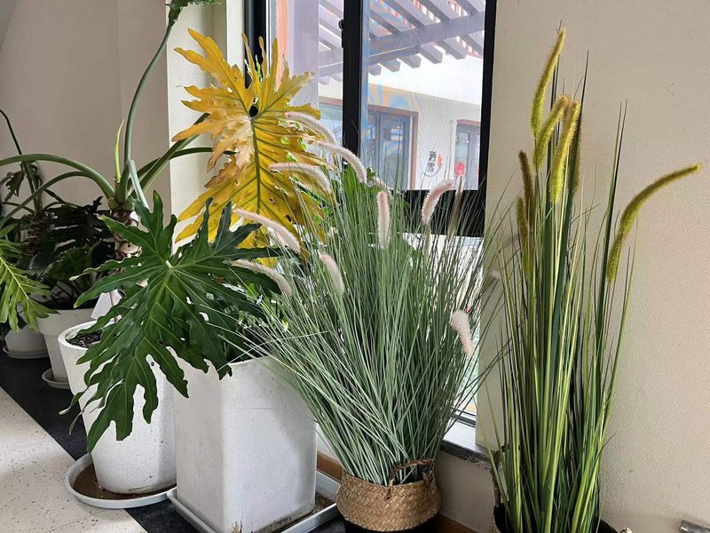 SIKO Village (Suzhou Fengmeng Long)Over view