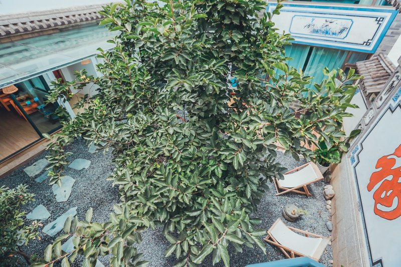 Dashan B&B Over view