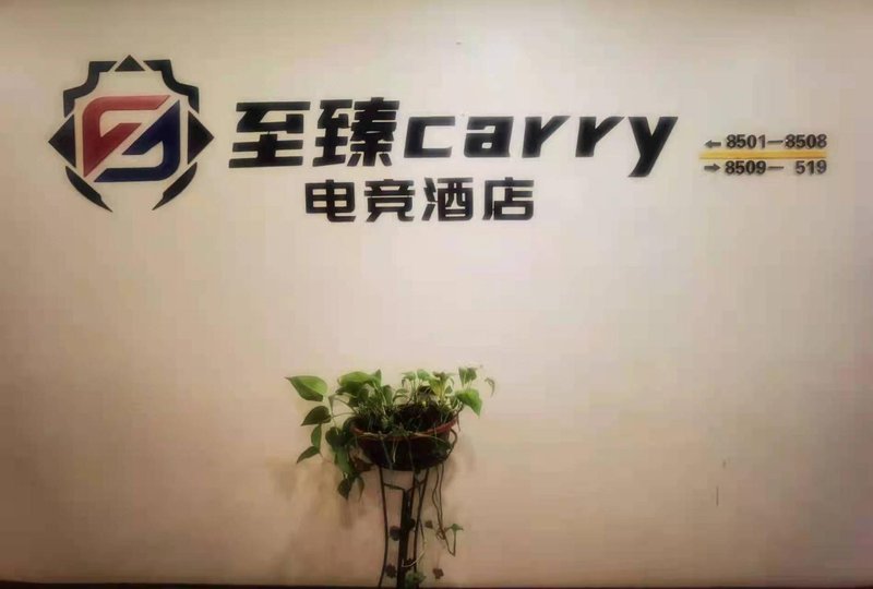 Zhizhen Carry E-sports Hotel (Jinjiang International Airport) Over view