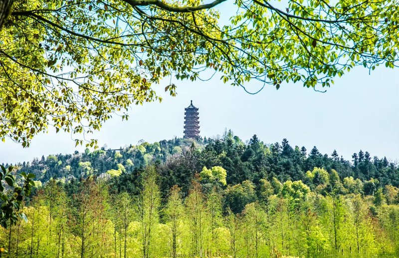 Xiangtan Panlong Grand View Garden Hotel Over view