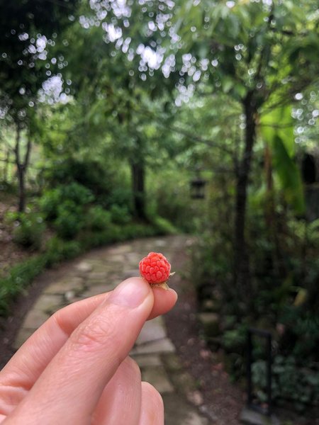 Pujiang Shili Songjian Ecological Manor Over view