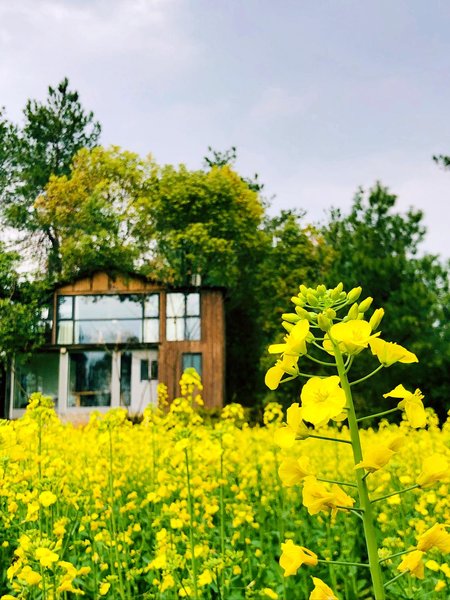 Pujiang Shili Songjian Ecological Manor Over view