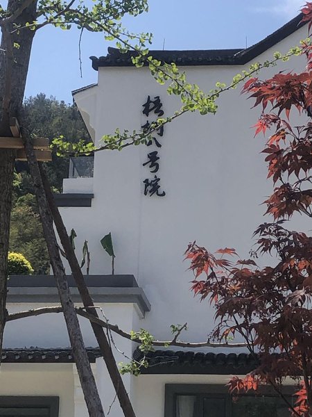 Jingningxuan No.8 Courtyard Over view