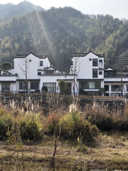 Jingningxuan No.8 Courtyard Over view