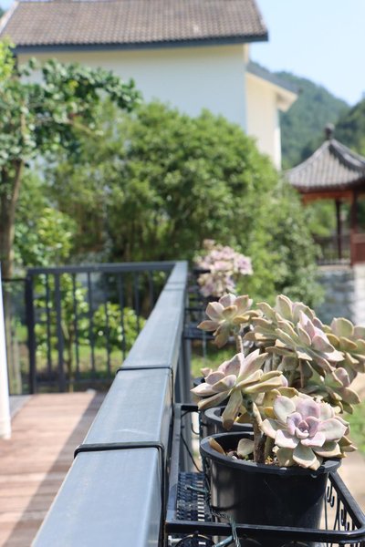 Anxia Lishe B&B, Xiandu Scenic Area Over view