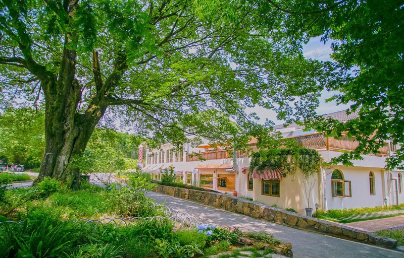 Anji Tree Down Xiaobaiwu Homestay Over view