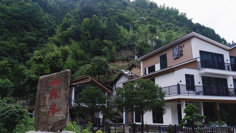 Fairy trace forest Over view