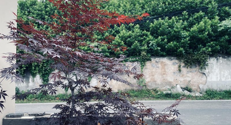 Restown Homestay Over view