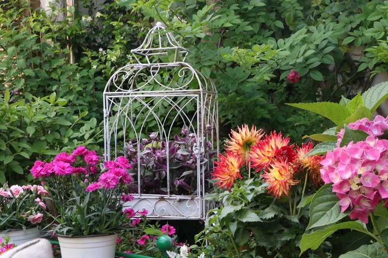 Xiaoyin Suyan HostelHotel public area