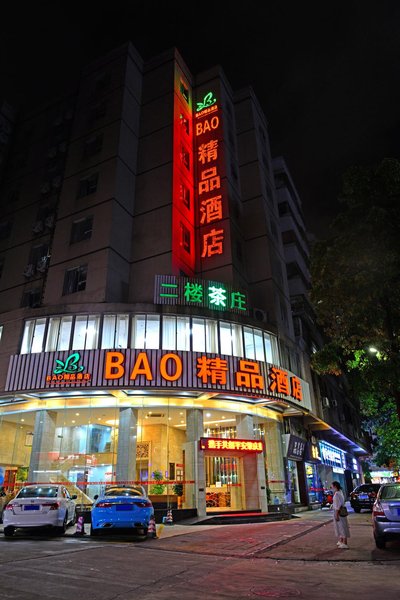 BAO Over view