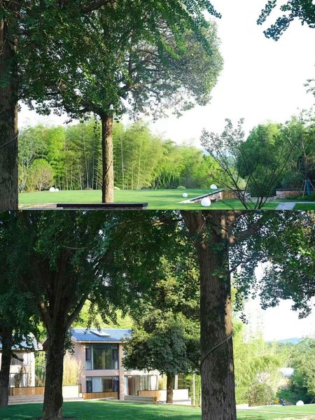 Lijiang Ginkgo Xia HomestayHotel public area