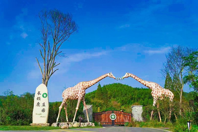 Giraffe Manor Hotel Over view