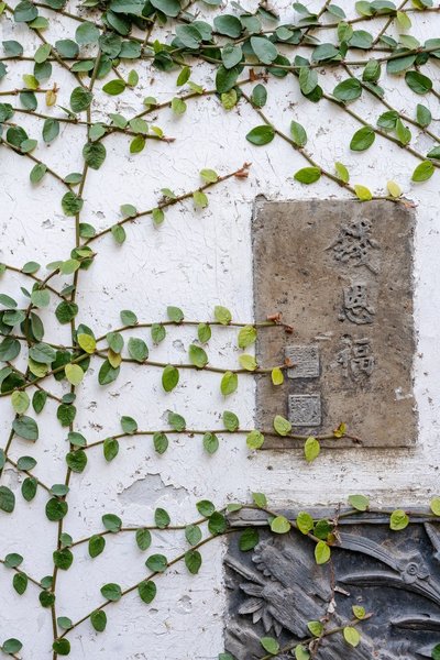 Zhouzhuang Yunxige Hostel Over view