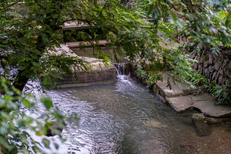 Anji Wuxu Homestay (Yucun Liangshan Scenic Area) Over view