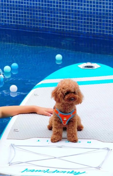 Zhijiaxiang B&B Over view