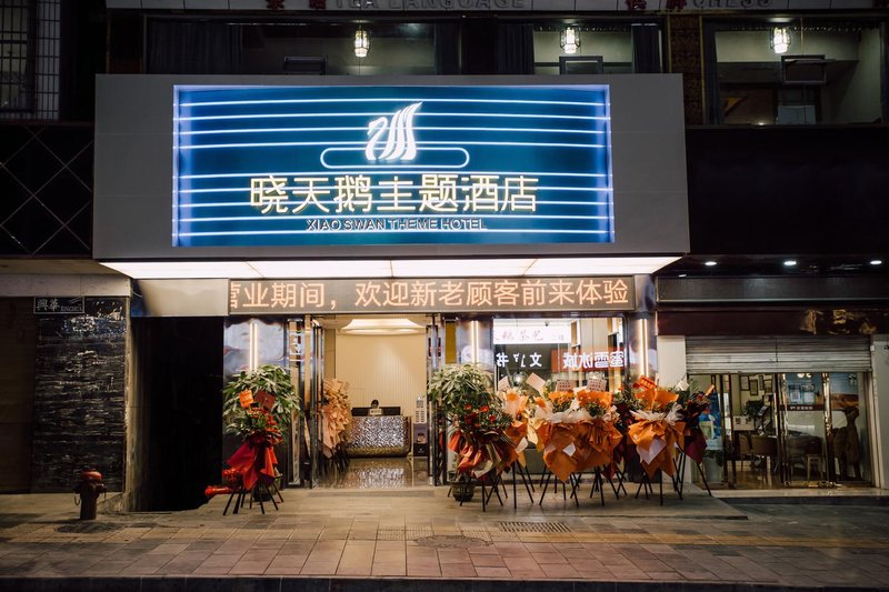 Xiaotian'e Themed Hotel Over view