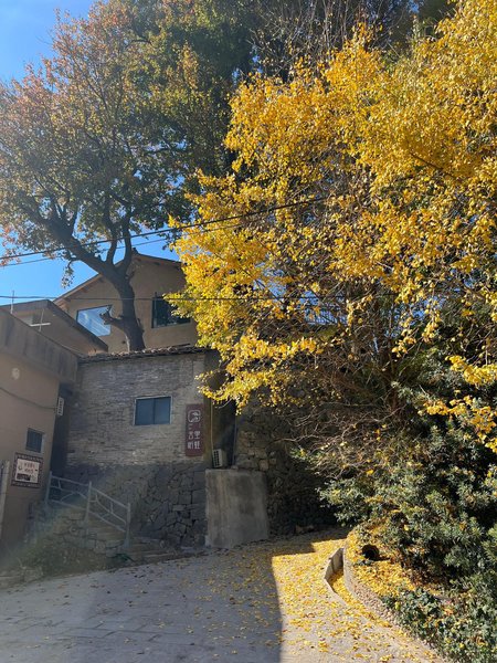 Yunlitingwa HomestayOver view