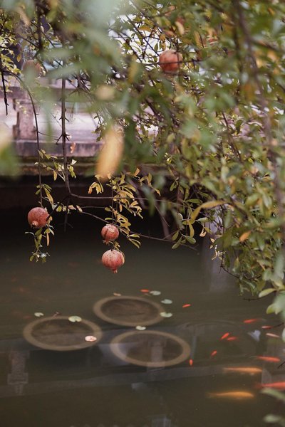 Youxiong HotelHotel public area