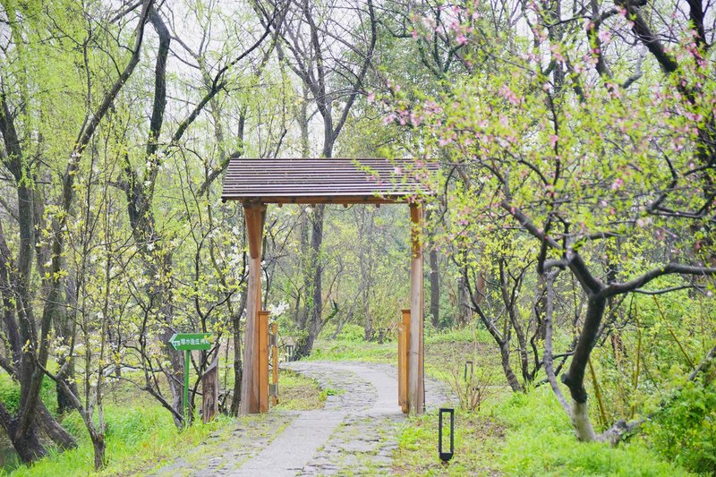 ALOR VALLEY HANGZHOUOver view