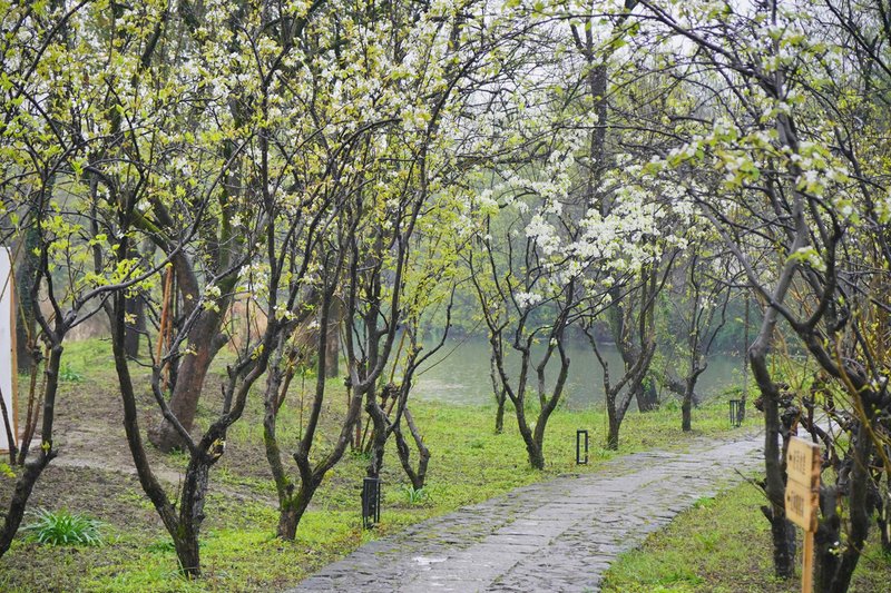 ALOR VALLEY HANGZHOUOver view