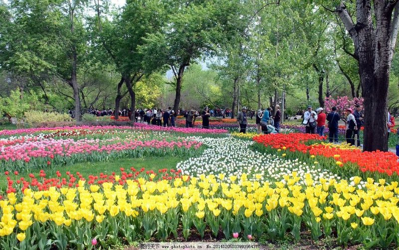 Vienna Hotel (Shanghai Jing'an Gaoping Road)周边景点