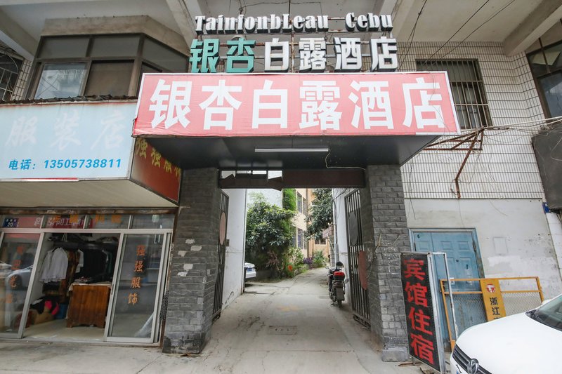 Towers inTainfonbleau. Cebu Over view