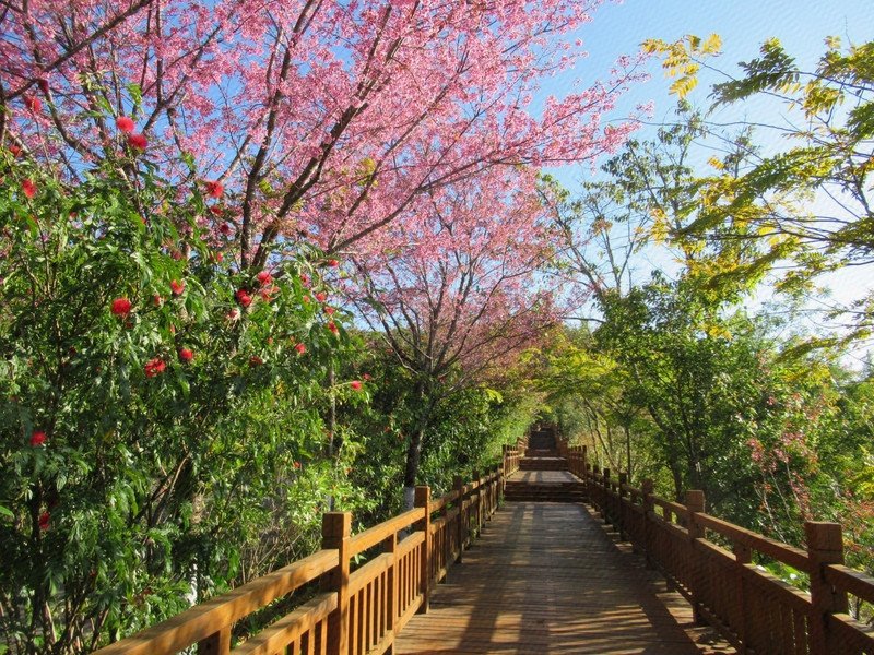 Zhixi Boutique Hotel周边景点