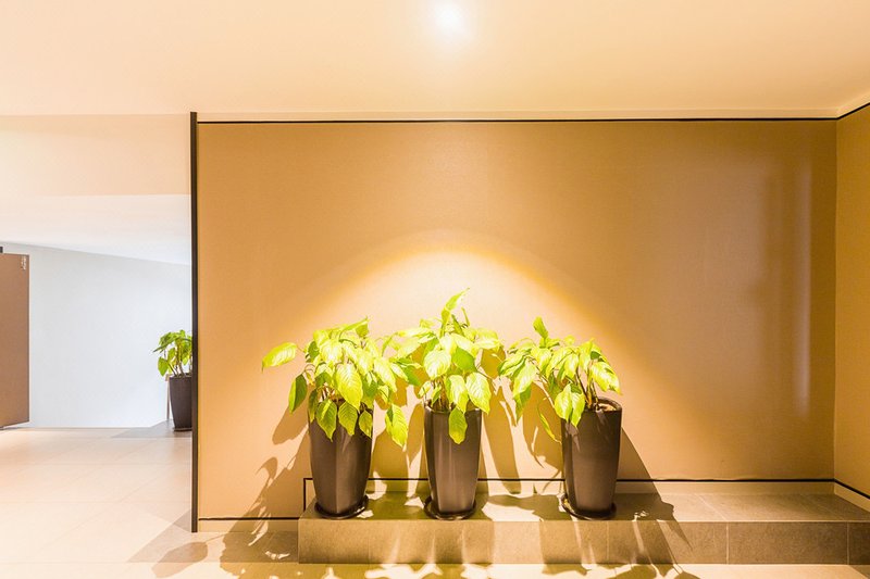 Home Inn Xinjiekou Guanjiaqiao NanjingOther