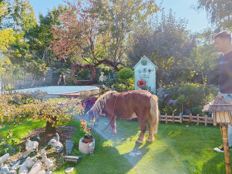 Xiaoyin Suyan HostelHotel public area