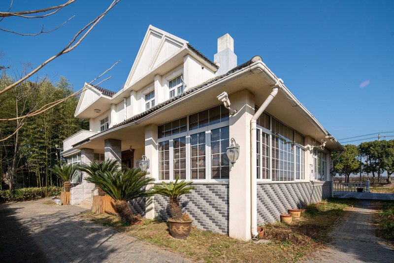 Chongming Meishu Time Pool Party Party Holiday Villa Over view