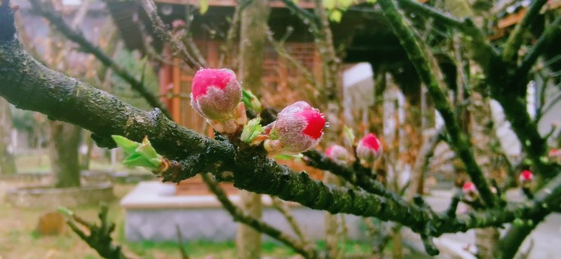 Chaji Mantanghong CourtyardHotel public area