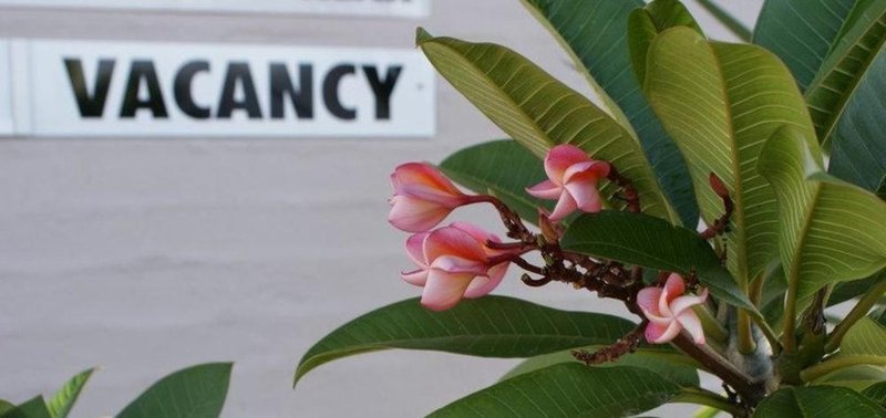 Riverside Motel Karuah休闲