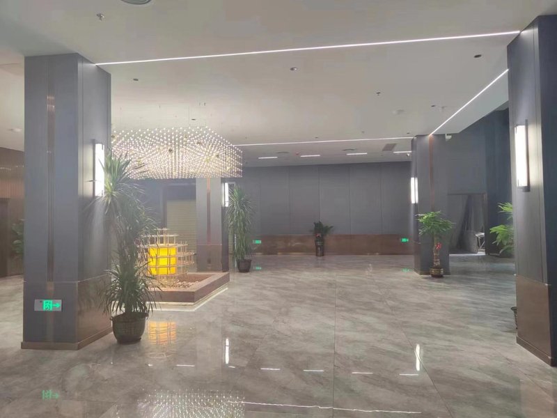 Overseas Chinese International Hotel (Haikou Friendship Plaza) Lobby