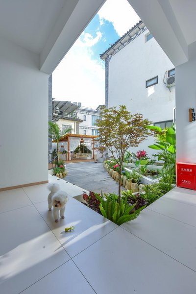 大理古城泊疏院客栈外景图