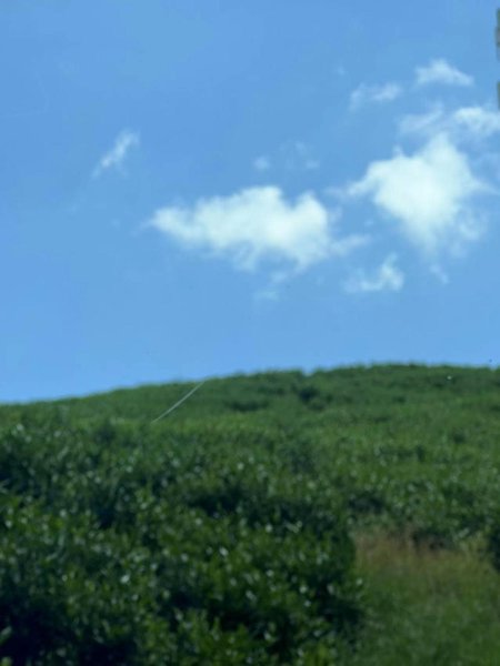 Star Valley CampOver view