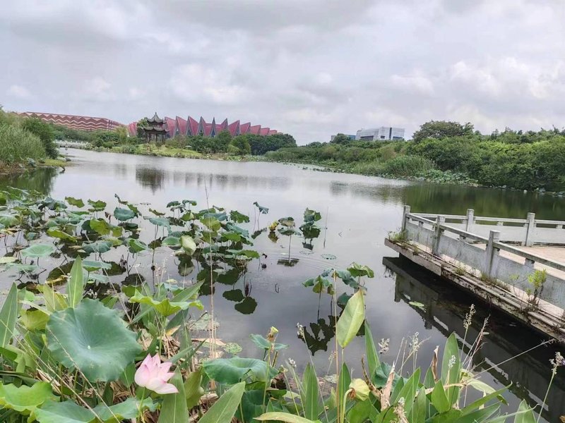 Lotus Garden (Tongling College Branch) Over view