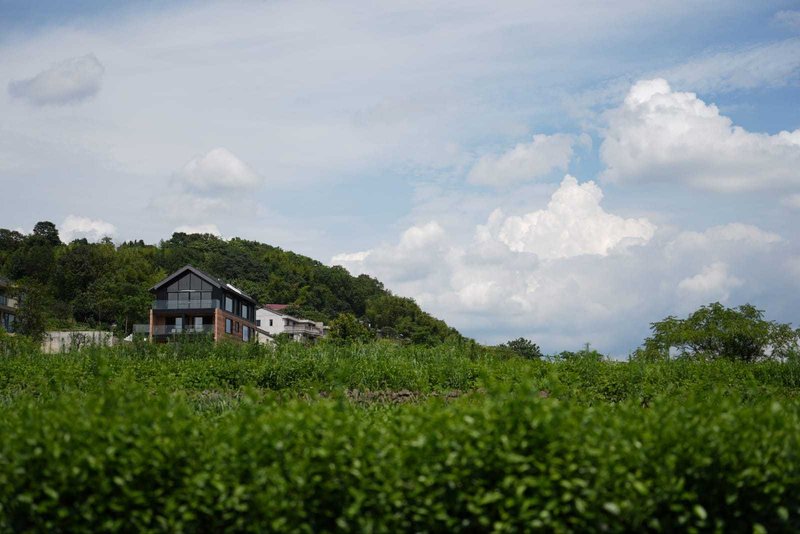 Mountain_inn Over view