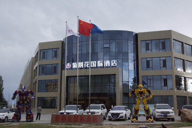 Tex Bauhinia International Hotel (Bagua City) Over view