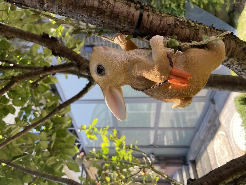 Tengchong Yuntian Hot Spring HomestayOver view