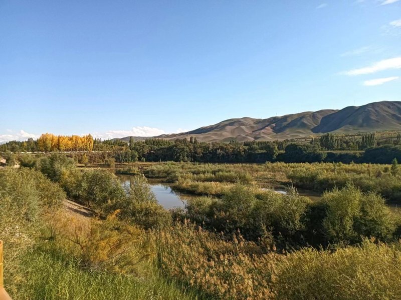 Forest-seeking campground Over view