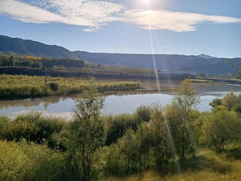 Forest-seeking campground Over view