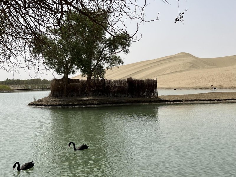 Home Inn (Korla Jiaotong West Road People's Square)周边景点