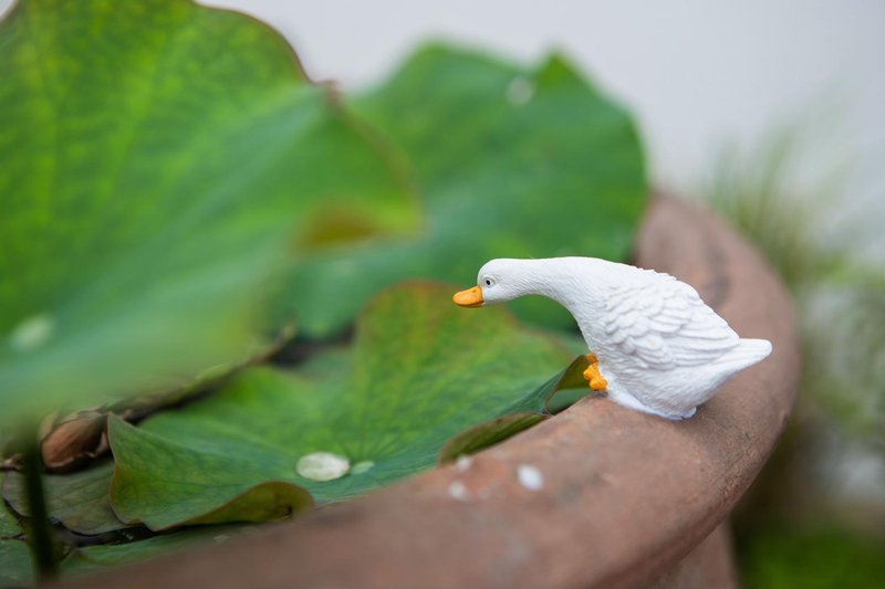 休闲