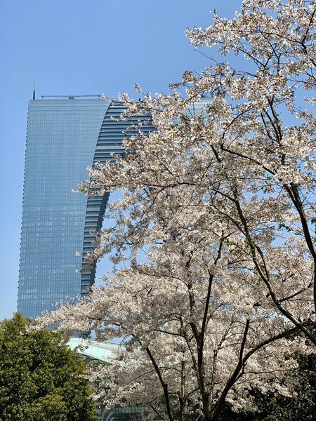 Suzhou Center Apartment Over view