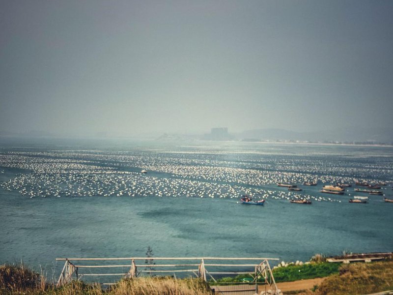 漳州镇海角海尚古城民宿