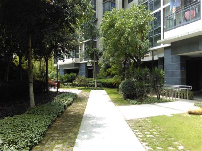 520 Apartment Hostel Over view